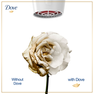 Dove Intense Repair Conditioner 180ml